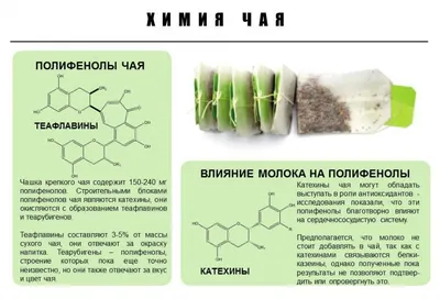 Как правильно питаться | Tervisliku toitumise informatsioon