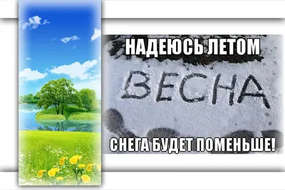 Кислая жев. конфета «Проснись и ной», красит язык, 10 г. - Зан-Зан |  Иностранные сладости и подарки