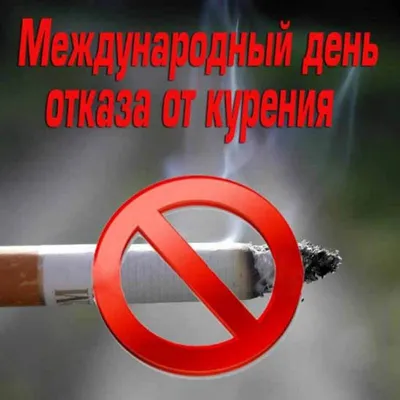 В Торопецком районе прошла акция против курения | официальный сайт  «Тверские ведомости»
