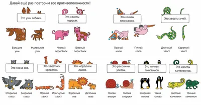 Умный малыш. Противоположности. Набор карточек для детей.