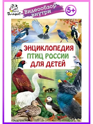 ПТИЦЫ для ДЕТЕЙ 2 часть ] с ГОЛОСАМИ. Развивающие ВИДЕО про птиц для детей  в HD - YouTube