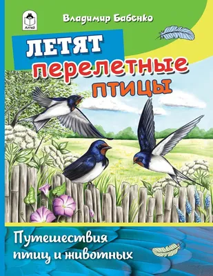 Лексико-грамматическое занятие для детей 4-5 лет с ТНР на тему «Птицы». |  Логопед Шамагина Ольга | Дзен