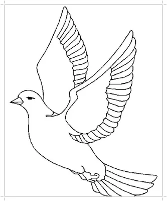 Рисунки птиц для срисовки (100 фото)