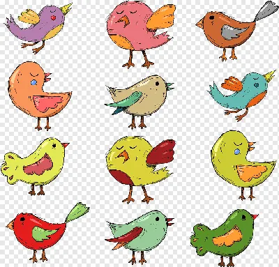 Рисунки птиц для срисовки (33 лучших фото)