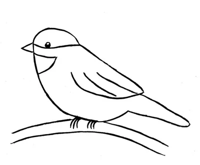 Картинки птиц для срисовки карандашом (34 фото) 🔥 Прикольные картинки и  юмор