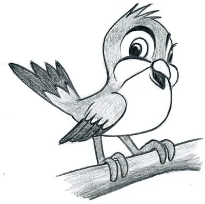 Птица рисунок контурный (21 фото) » Рисунки для срисовки и не только