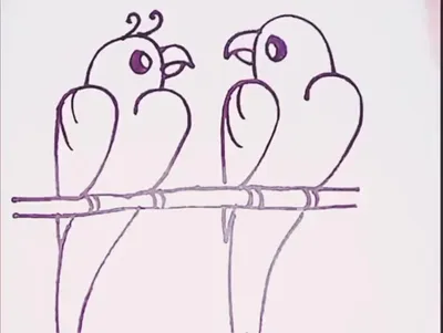 Райская птица цветными карандашами. Поэтапный урок рисования для взрослых и  детей. | Рисуем вместе | Дзен