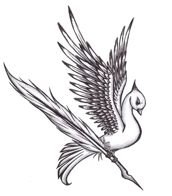 Смотреть ✓ Рисунки птицы - совы для рисования