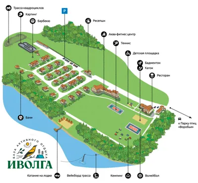 Подкормка воробьёв | Пикабу