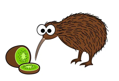 KIWI BIRD: NOT a fruit, but a prehistoric animal with the biggest eggs |  Facts about birds - YouTube