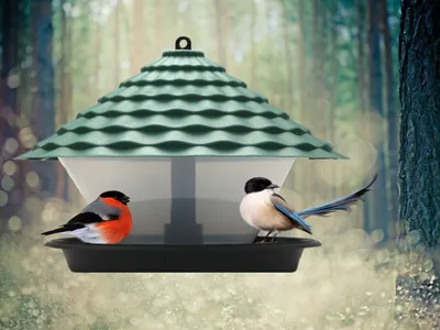 Скачать обои Птицы Janene Grende, зима, кормушка для птиц на рабочий стол  1280x1024