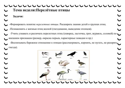 МБДОУ г. Иркутска детский сад № 58, Rused - Единая сеть образовательных  учреждений.