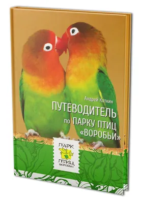 Принт постер картина с птицей Воробей на ветке цифровая живопись