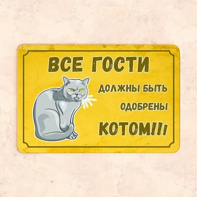 РАБОТАЙ,РАБОТАЙ,НЕ ОТВЛЕКАЙСЯ 😂 Узнали себя? У нас вы всегда можете  отдохнуть ,на мягких подушках или посидеть в зоне ожидания😁☺️ С… |  Instagram