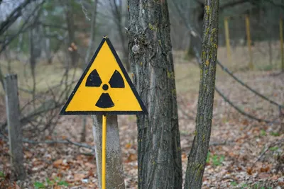 Убийственная Япония: ученые нашли сразу три смертельных очага радиации -  28.01.2021, Sputnik Узбекистан
