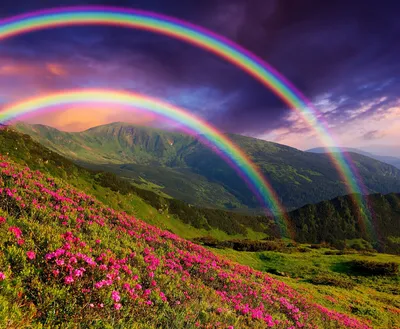 изображение удивительной радуги над водой в темном небе, облако солнечное  радуга, Hd фотография фото фон картинки и Фото для бесплатной загрузки