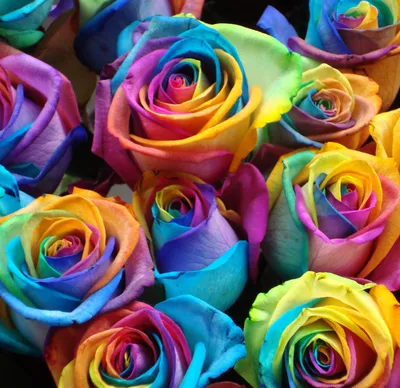 Купить Букет 11 радужных роз в черном крафте R804 в Москве, цена 8 350 руб.