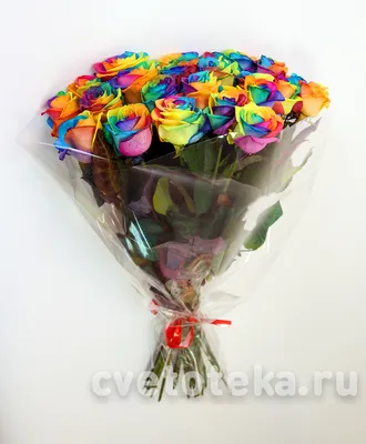 Букет из 25 радужных роз в упаковке купить в Барнауле с бесплатной  доставкой | Розы недорого оптом розница