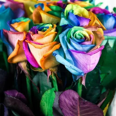 Букет из 11 радужных роз» с розами - купить во Владивостоке за 8 560 руб