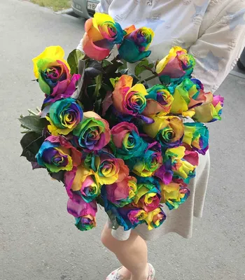 Букет 15 радужных роз купить с доставкой в СПб