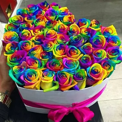 Купить Букет из 25 синих и радужных роз в Томске - доставка цветов МАКИ