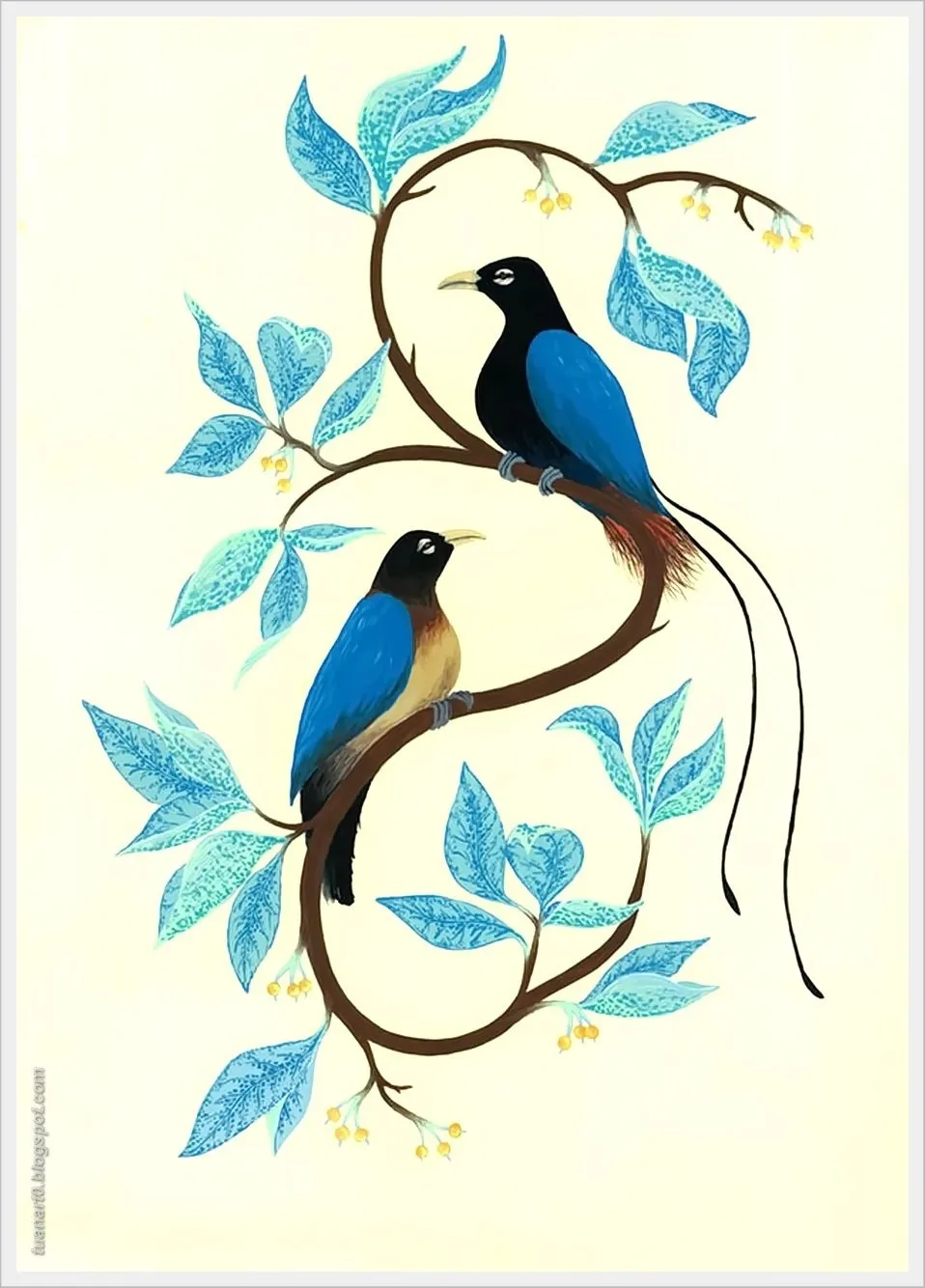 Райская птица на гербе. Райские птицы. Птица рисунок. Красивые рисунки птиц. Изображения райских птиц.
