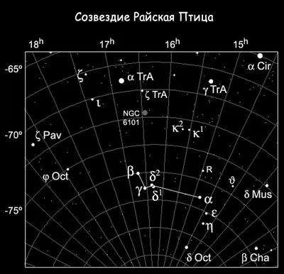 Райские птицы стоковое фото. изображение насчитывающей красно - 34422264