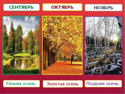 Тема недели: \"Осень\". Новости 6 \"старшая группа\". Детский сад №1 г. Дятлово