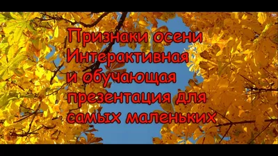 Клипарт, бесшовный паттерн: \"Ранняя осень\" в интернет-магазине Ярмарка  Мастеров по цене 5000 ₽ – RQJ1GBY | Иллюстрации и рисунки, Видное -  доставка по России