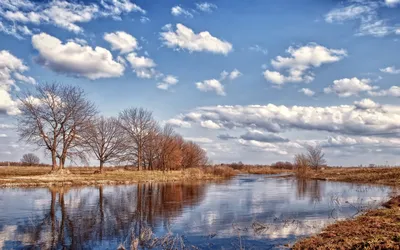 Концепция ранней весны. Первые весенние дни на реке Стоковое Фото -  изображение насчитывающей день, небо: 170333824