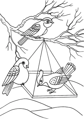 Картинки раскраски на тему птицы фото