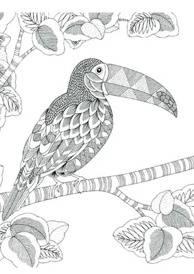 Раскраска Птица | Раскраски с животными, Лего раскраски, Бесплатные  раскраски