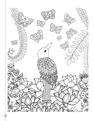 Раскраски Перелетные птицы распечатать бесплатно в формате А4 (11 картинок)  | RaskraskA4.ru