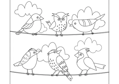 Раскраски Птицы для детей: распечатать бесплатно или скачать