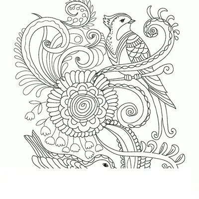 Раскраски Раскраска Великолепные птицы Мини антистресс для творчества и  вдохновения антистресс, Раскраска Птица в саду антистресс.