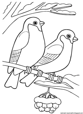 Рисунок зимующих птиц раскраска (43 фото) » рисунки для срисовки на  Газ-квас.ком