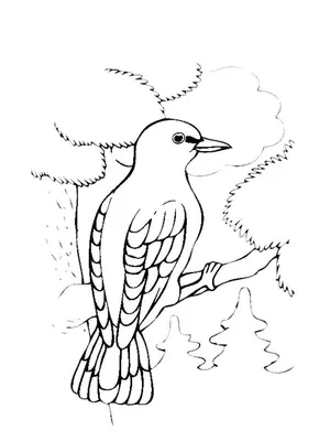 Раскраски Перелетные птицы распечатать бесплатно в формате А4 (11 картинок)  | RaskraskA4.ru