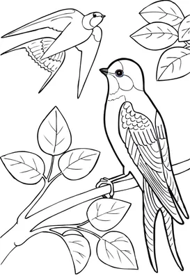 Раскраска Перелетные Птицы — Мир раскрасок