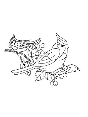 Иллюстрация 13 из 29 для Раскраска. Перелетные птицы | Лабиринт - книги.  Источник: Марина Епифанцева