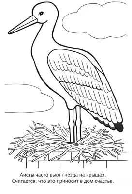 Иллюстрация 2 из 29 для Раскраска. Перелетные птицы | Лабиринт - книги.  Источник: Лабиринт