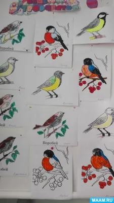 Раскраски Перелетные птицы 🖼. Скачиваем и раскрашиваем бесплатно ❗