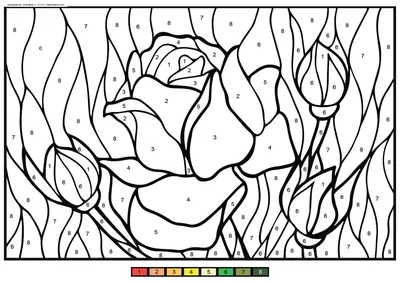 Раскраски цветка розы - Раскрась этот мир!