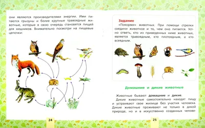 Растения, которые похожи на животных