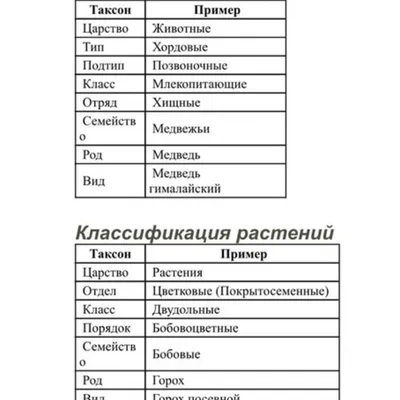 Как выглядят растения и животные в рентгеновском излучении | Пикабу