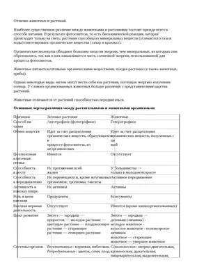 Ткани растений и животных рисунок (49 фото) » рисунки для срисовки на  Газ-квас.ком