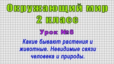 Фотографии последних представителей из видов вымерших животных за последние  100 лет... | Жизнь в фактах и событиях | Дзен