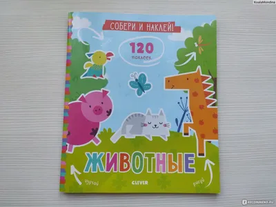 В Баку врачи из разных стран бесплатно стерилизовали около 1500 бездомных  животных – ФОТО | 1news.az | Новости