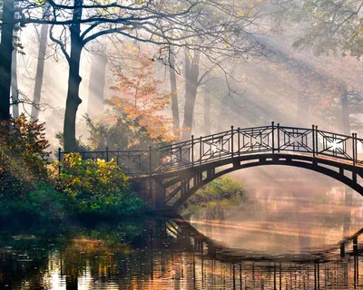 Скачать обои Nature, Bridge, Wallpaper, Morning, River, Trees, раздел  природа в разрешении 1280x1024