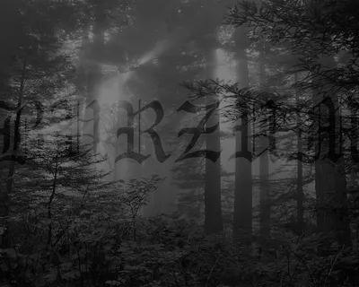 Скачать обои Metal, Black Metal, Ambient, Burzum, раздел музыка в разрешении  1280x1024