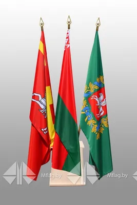 4420 Фигурная форма государственный флаг и государственный герб Республики  Беларусь (3572) купить в Минске, цена
